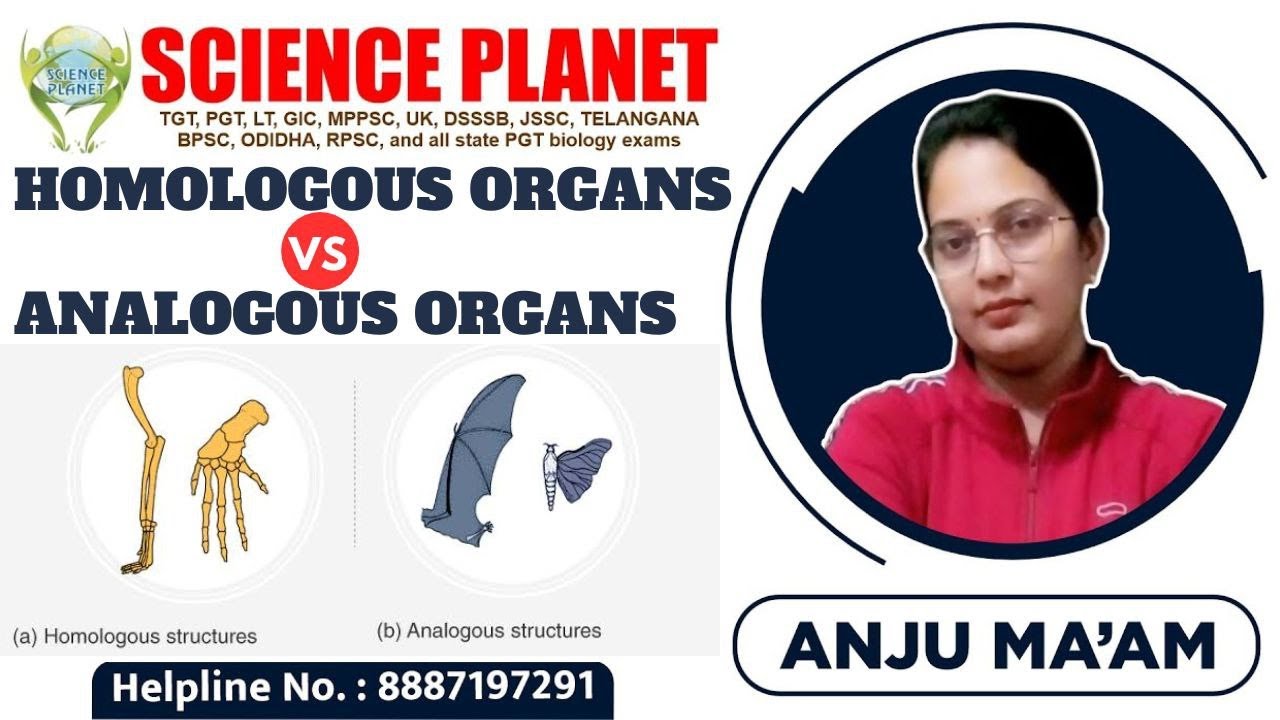 Homologous Vs Analogous Organs ll By Anju Ma'm II Divergent and Convergent Evolution ll