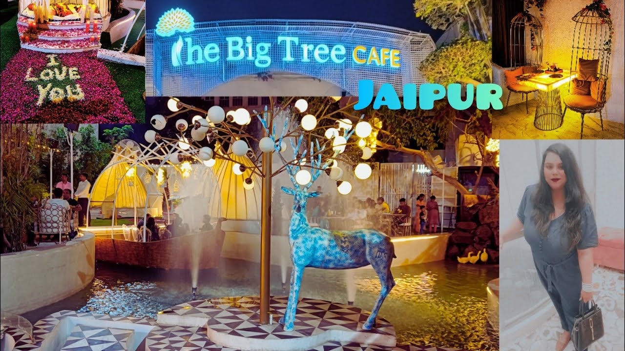 The Big Tree Cafe Jaipur |Ajmer Road |Most Happening Cafe in Jaipur!#Thebigtreecafe