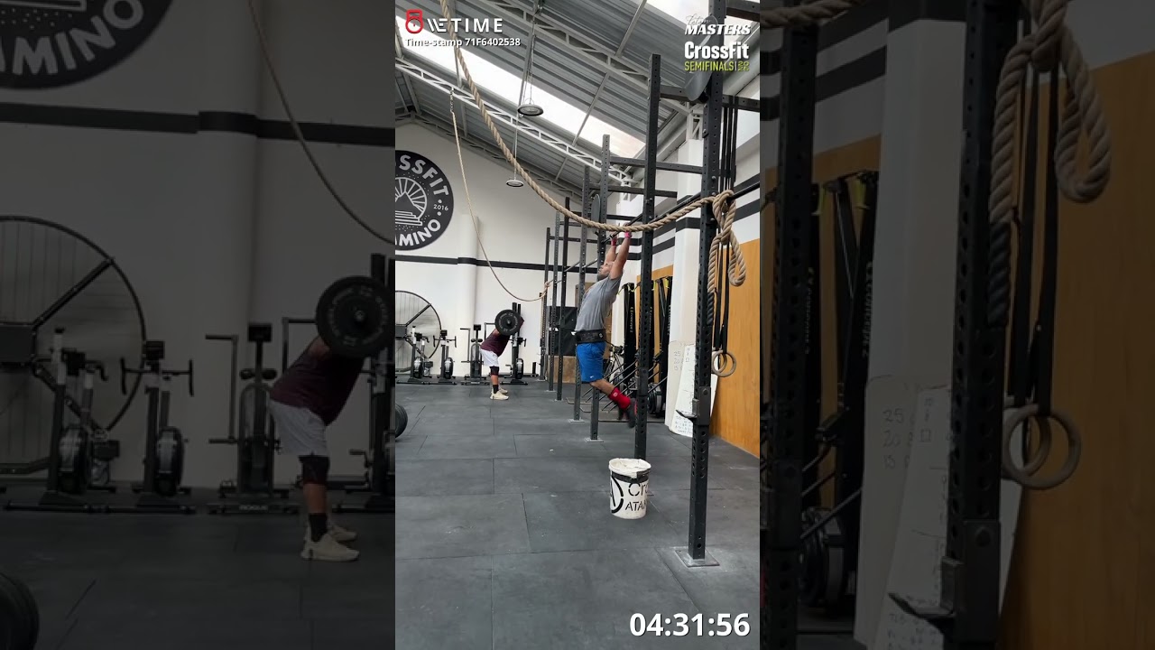 26 1