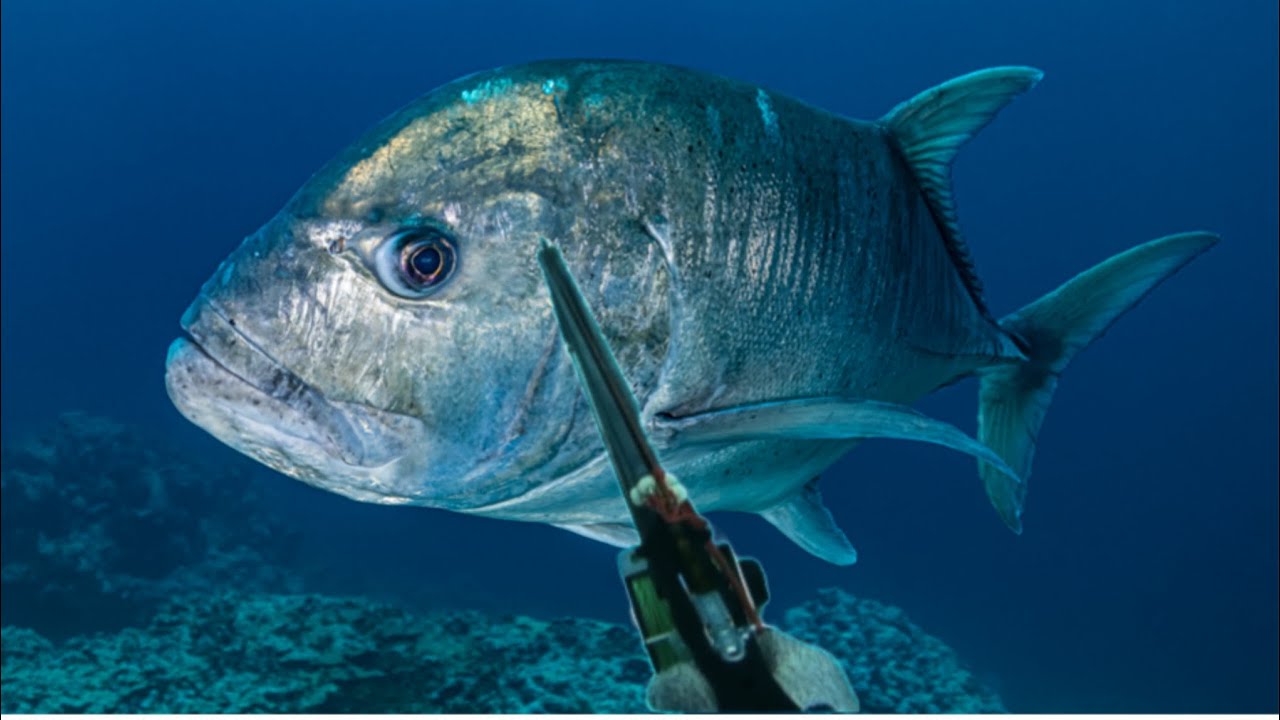 MONSTER GIANT TREVALLY 😱 || SPEARFISHING PHILIPPINES || CATCH SELL N' COOK! BANTON ROMBLON