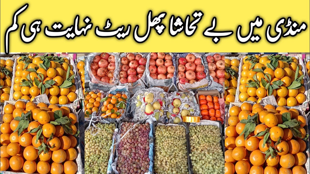 Local and Imported Fruits || Fruits Wholesale Rate Update || Peshawar fruit Mandi ||