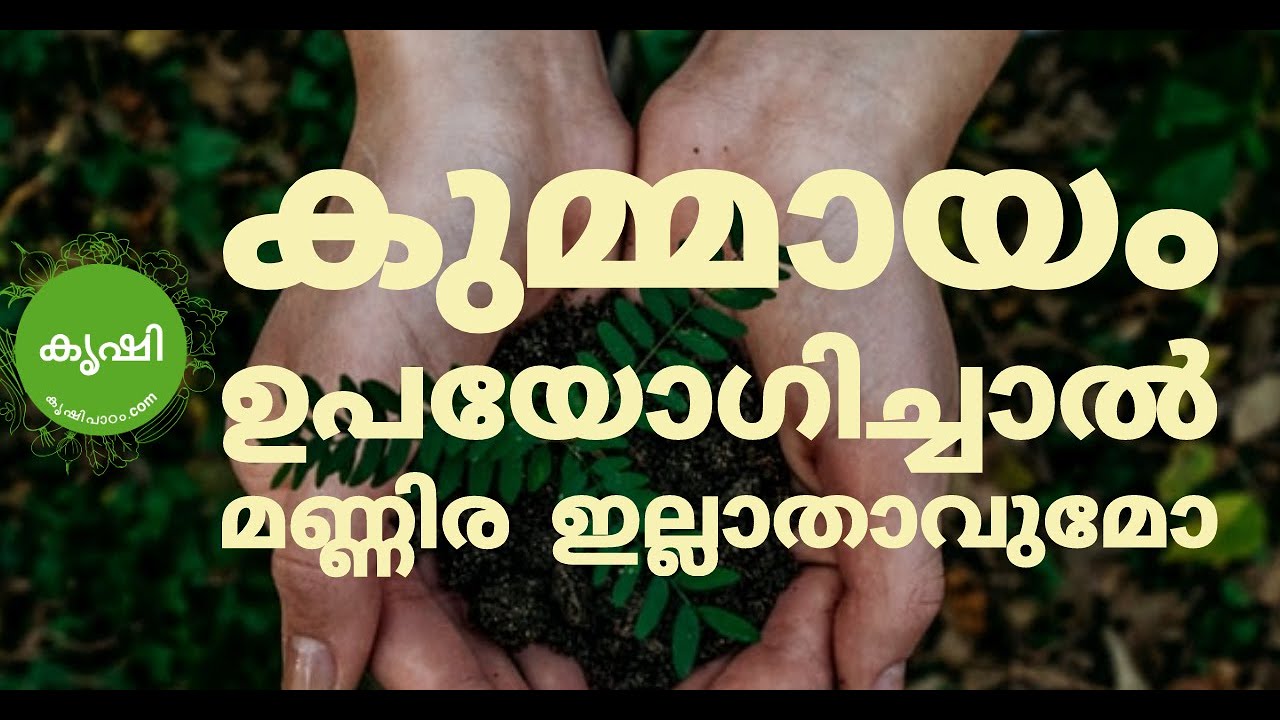 കുമ്മായം ഉപയോഗിച്ചാല്‍ മണ്ണിര ഇല്ലാതാകുമോ ? - presence of earth worms after agriculture lime usage