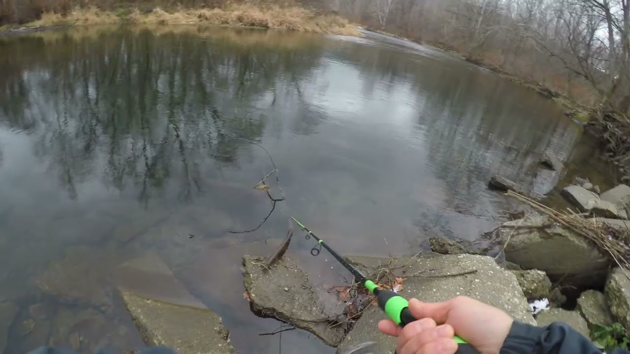 Trout Fishing at Williams College