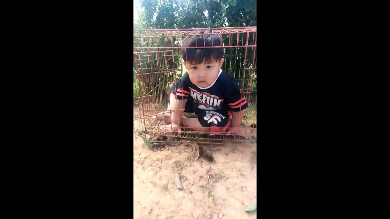 Viral alahai budak ni boleh pulak duduk dalam sangkar comel je
