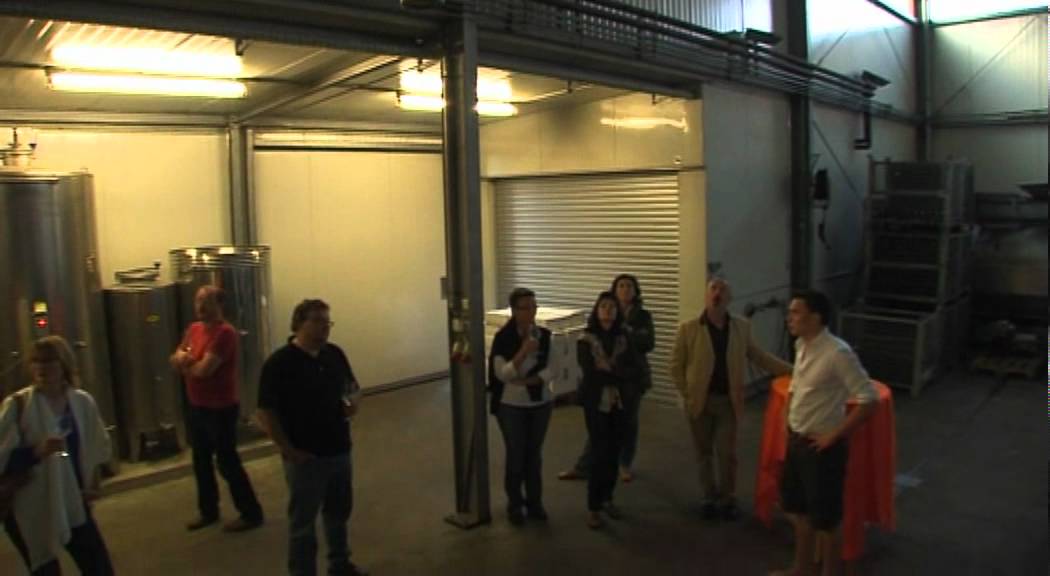 Krispel - Emotion - pur.mp4