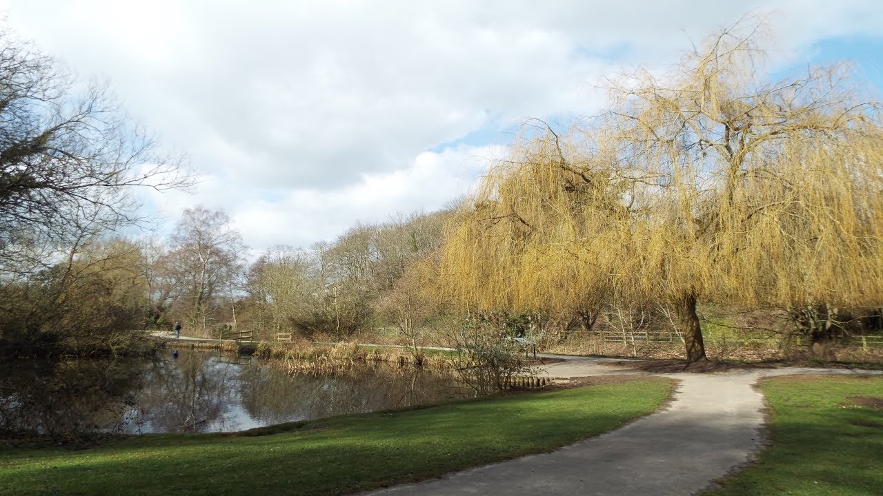 Yeovil, Somerset - Ninesprings