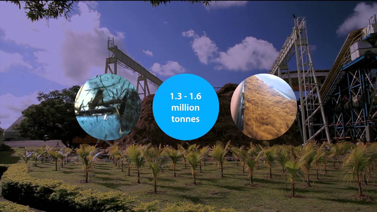 1 omnicane movie 1080p