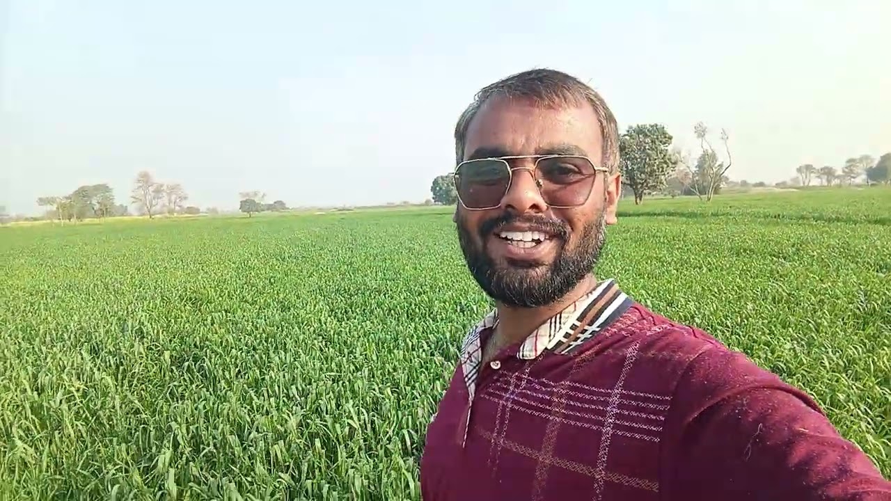 🔥 یہ گندم نہیں، پاکستان کا پسینہ ہے 🌾 | Farmer is the Backbone of Pakistan---