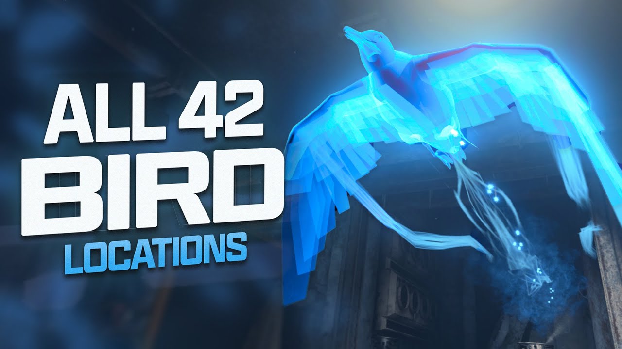 Blood of the Dead ALL Bird Locations -  Black Ops 4 Zombies Seagull Step Guide