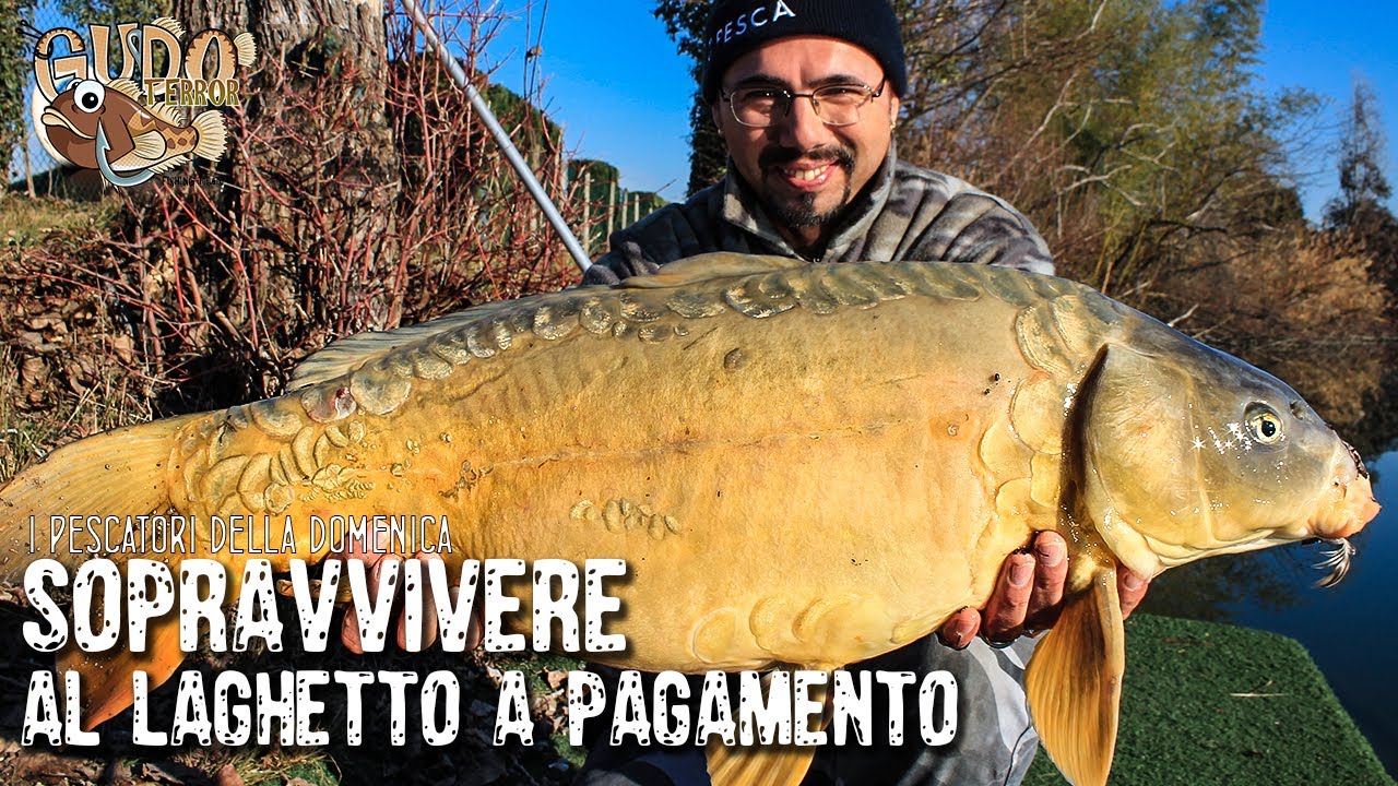 Come peschiamo le carpe a bolognese in cava