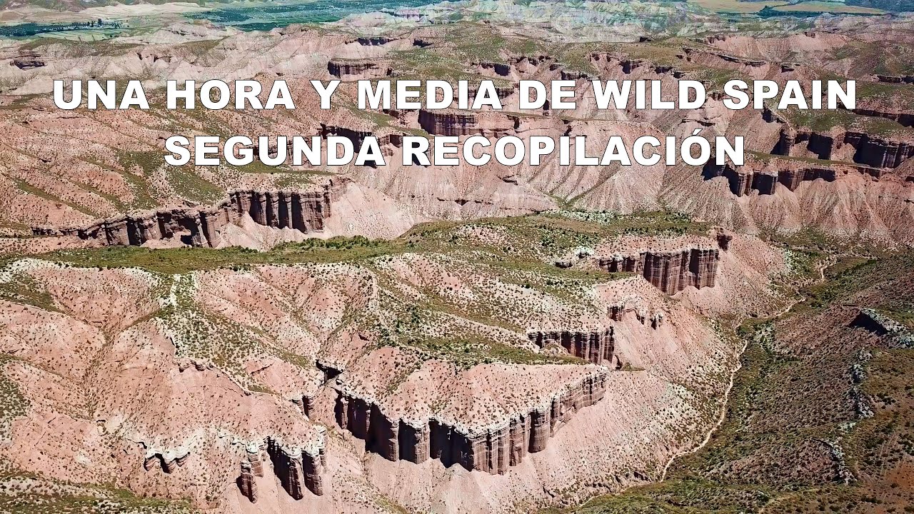 HORA Y MEDIA DE WILD SPAIN, segunda recopilación