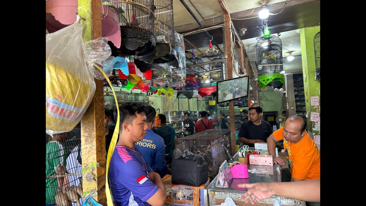 Datang Murai Medan TrotoL PastoL Mulai 180k Saja, Juga Trima Setor 089628101130