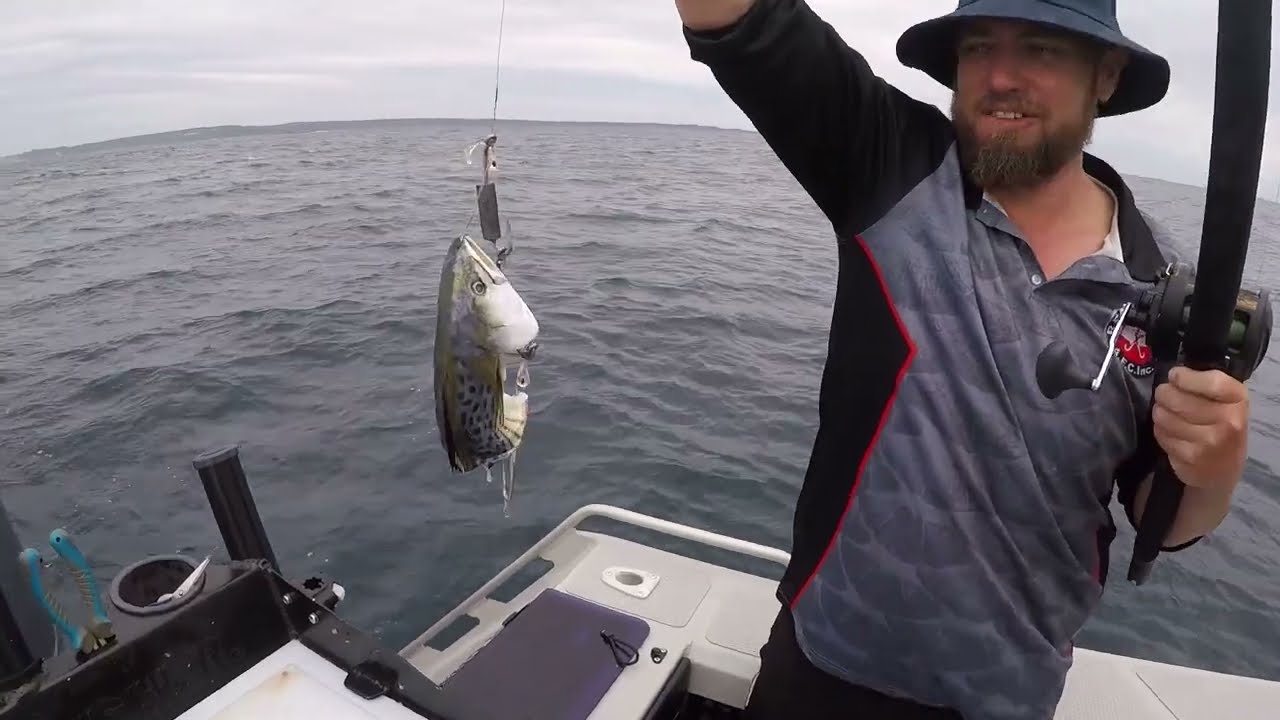 The frustrations of Spanish Mackerel, April 2023