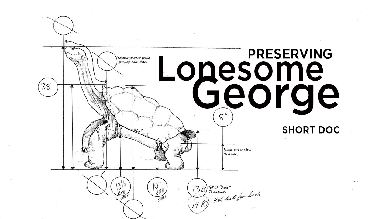 Preserving Lonesome George