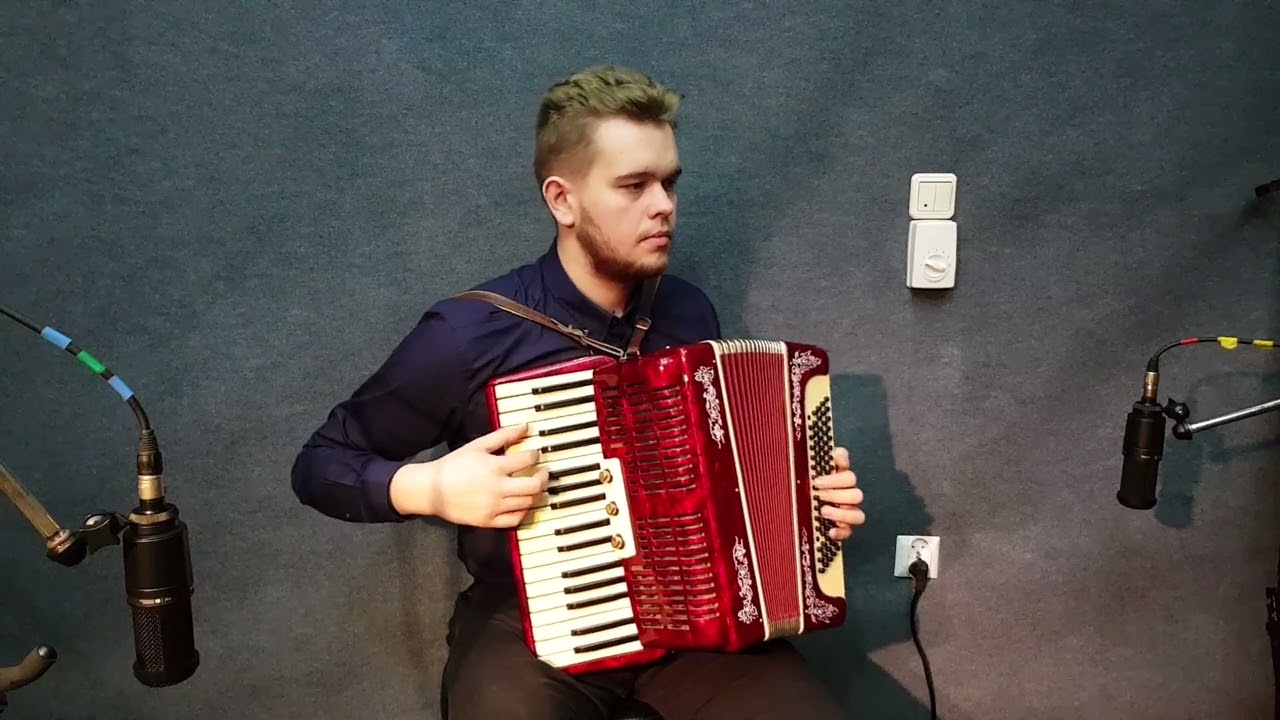 Akordeon Muza 80b musette po kapitalnym remoncie