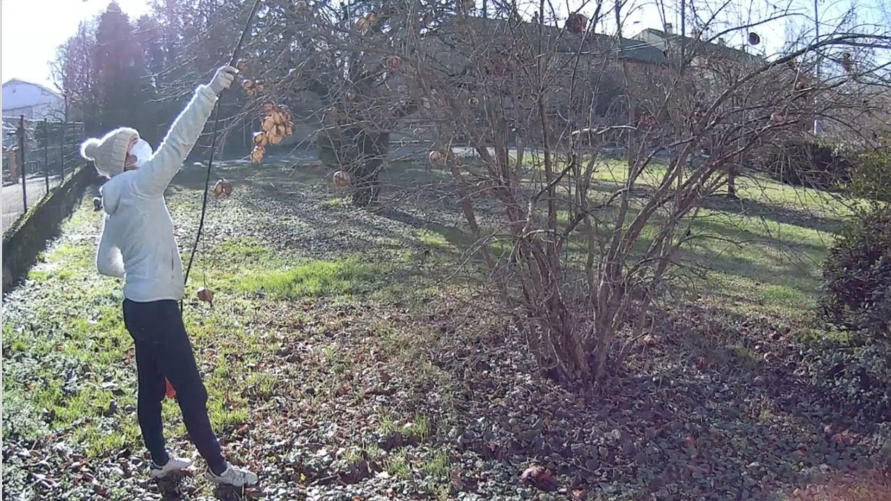 🔨 INIZIAMO LA DEMOLIZIONE DELLA SECONDA CAMERA e diamo buoni nutrienti alle piante 🍊 