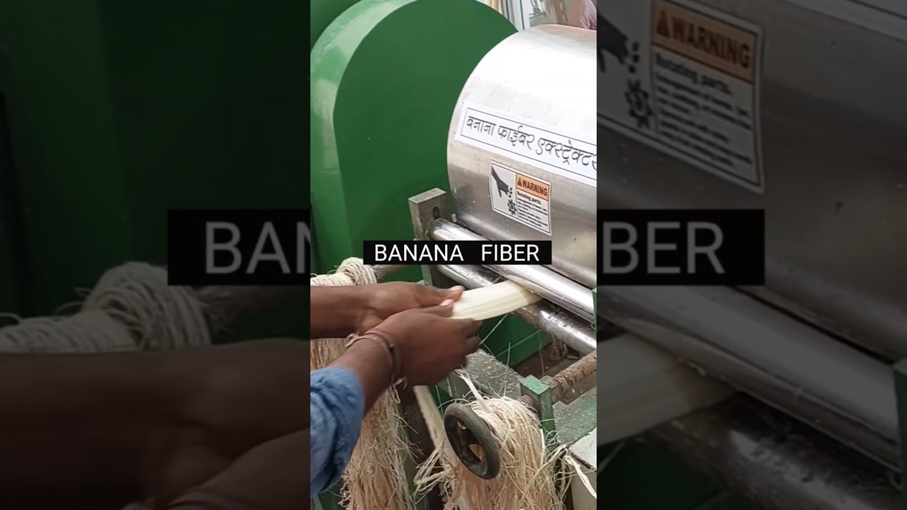 Bananas produce silk-like fiber! | Banana Fiber Magic