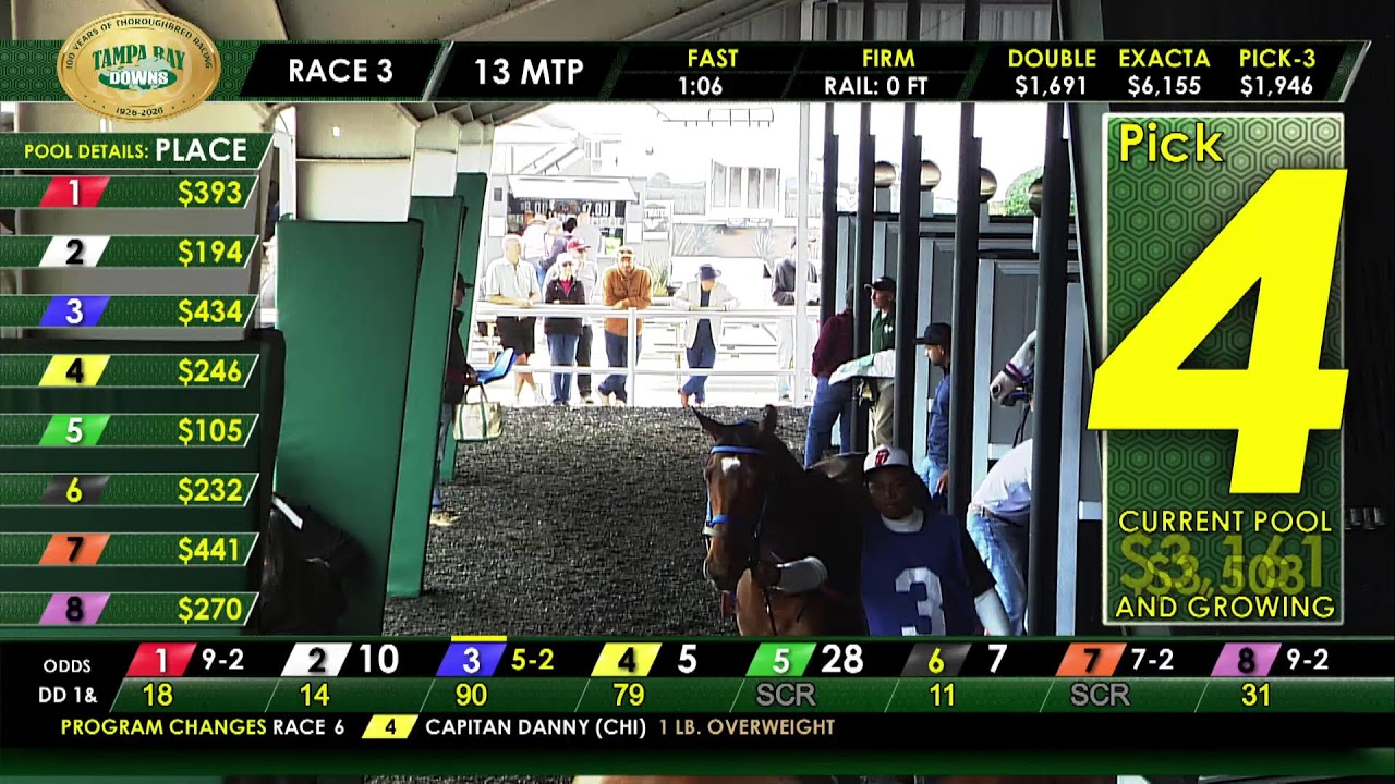 Tampa Bay Downs Live Stream