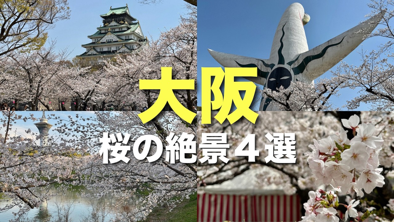 【大阪】絶対行きたい桜の名所4選🌸春のお花見スポット📸大阪城西の丸庭園｜毛馬桜之宮公園｜万博記念公園｜花博記念公園 鶴見緑地