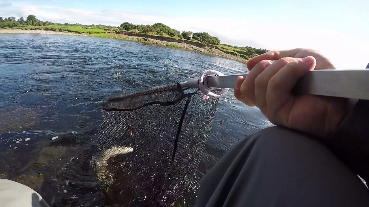 Salmon Fishing on River Laune 2018