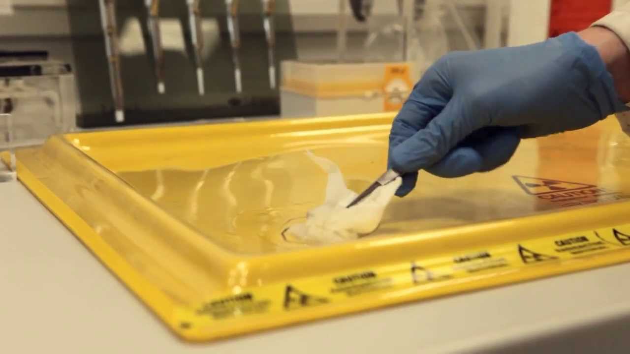 Finding Contamination