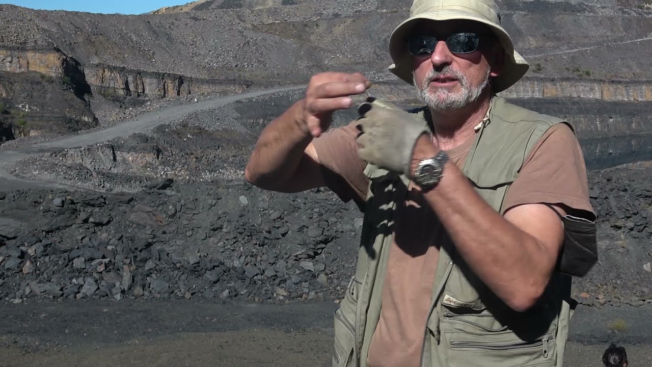 Materia (in)distinta - 2 de 5: «Narrativas de la Gran Corta», con el Aula Paleobotánica de Fabero