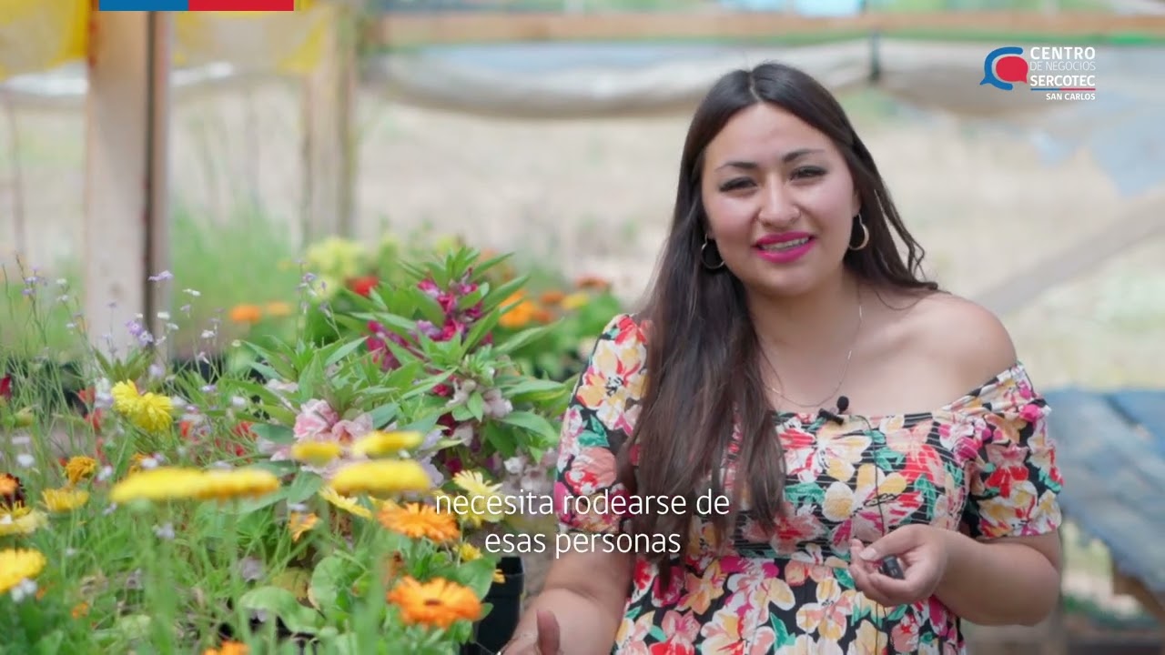 Hidroponía y flores en marcha. El caso de Daniela Soto.