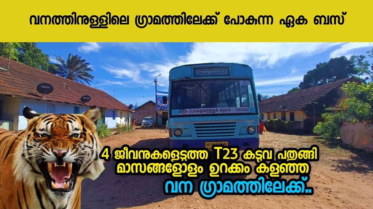 ബസ് യാത്ര ഇതുപോലുള്ള ഒരു സ്ഥലത്തേക്ക് അപൂർവമാണ്|bus travel to rural forest village|tnstc bus vlog|