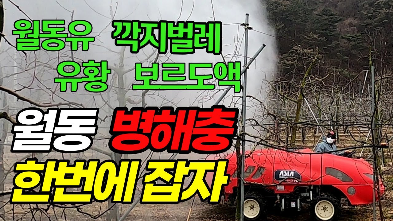 과수 첫 방제. 월동기계유유제, 석회유황합제, 석회보르도액 살포시기 살포방법 주의사항에 대해 알아봅시다.