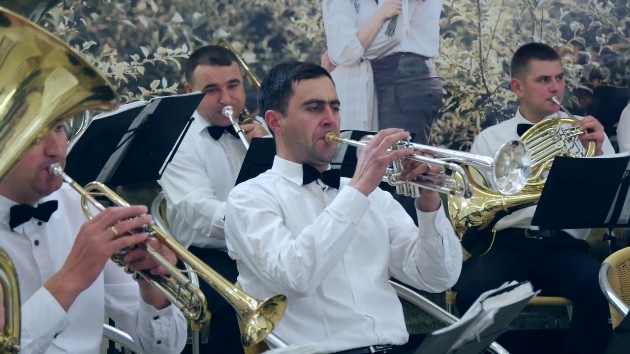Fanfara Anatol Cazac la Nunta (Live)