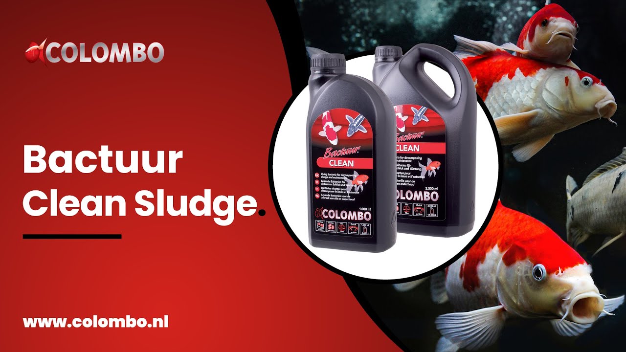 Colombo Pond Bactuur Clean Sludge