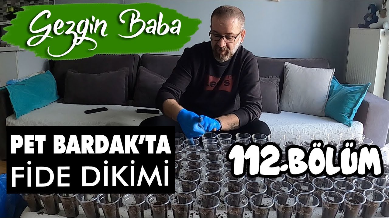 Plastik Bardak'ta Domates Tohumu Çimlendirme | Evde tohum Çimlendirme | Gezgin Baba | 112.Bölüm