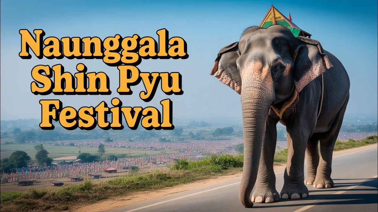 နောင်ကုလား ရှင်ပြု ရဟန်းခံ ရှင်လောင်းလှည့်အမှတ်တရ(၄) #သထုံနောင်ကုလား #Naungala Shin Pyu #Myanmar 