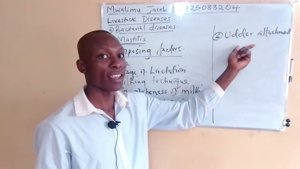 Livestock Diseases || Mastitis || Causes • Symptoms • Control || Agriculture Form 3 Revision