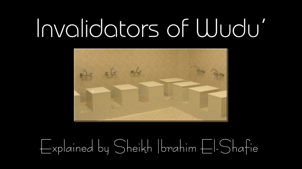 Invalidators of Wudu' - Sheikh Ibrahim El-Shafie