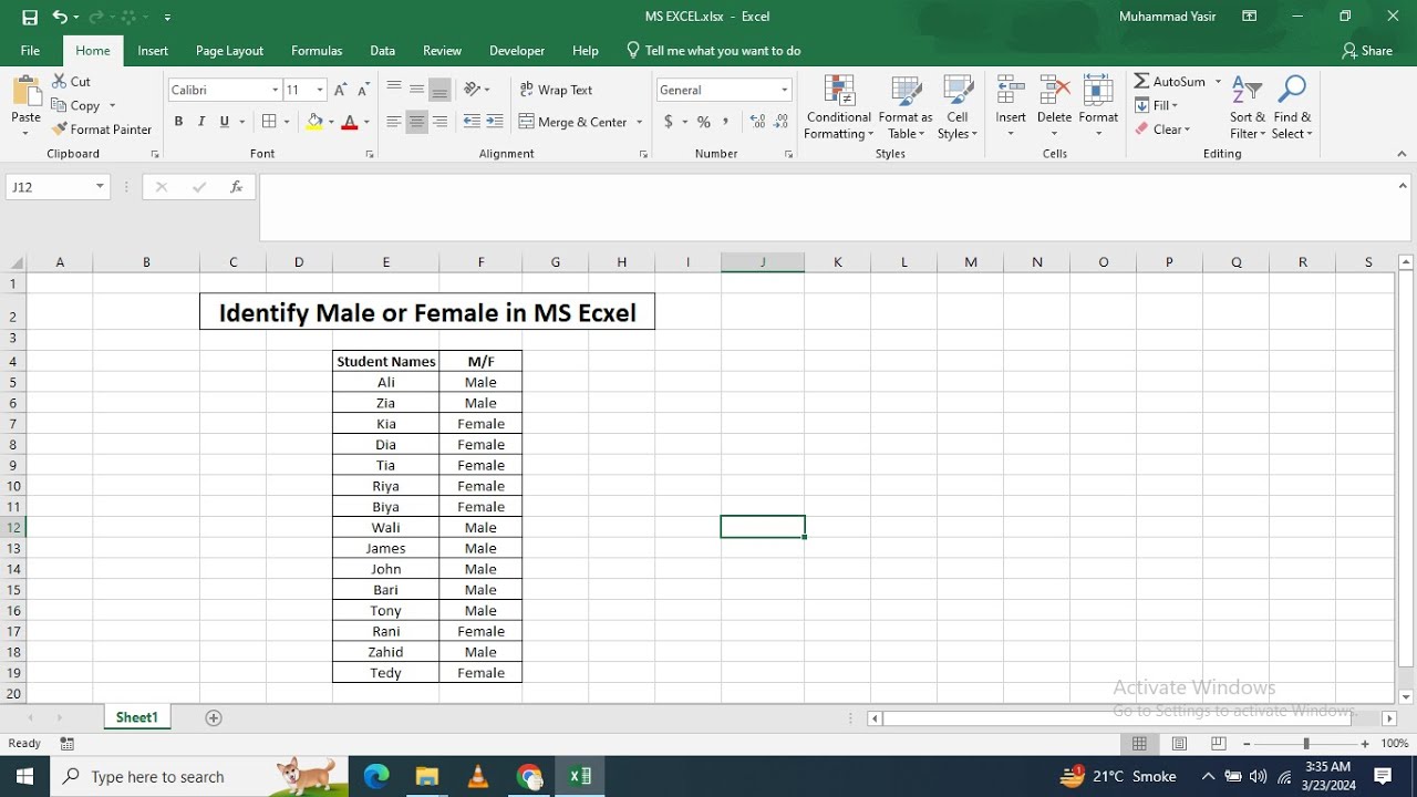 How to identify male or female person in microsoft excel