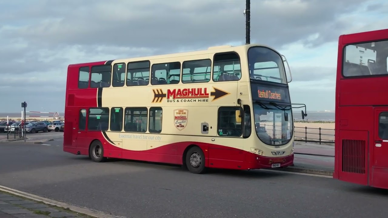 Buses and Coaches at New Brighton.