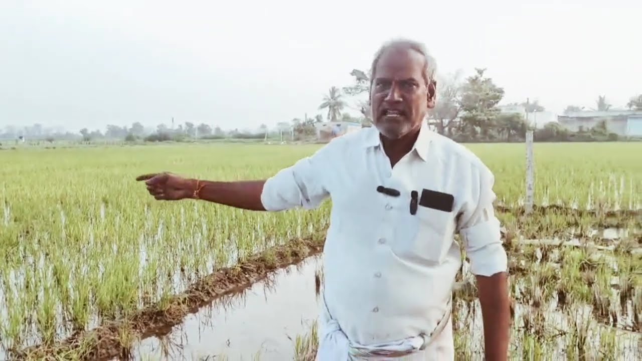 কলংক -🥲 Assamese Comedy Video - biiikash bonoriya 2026