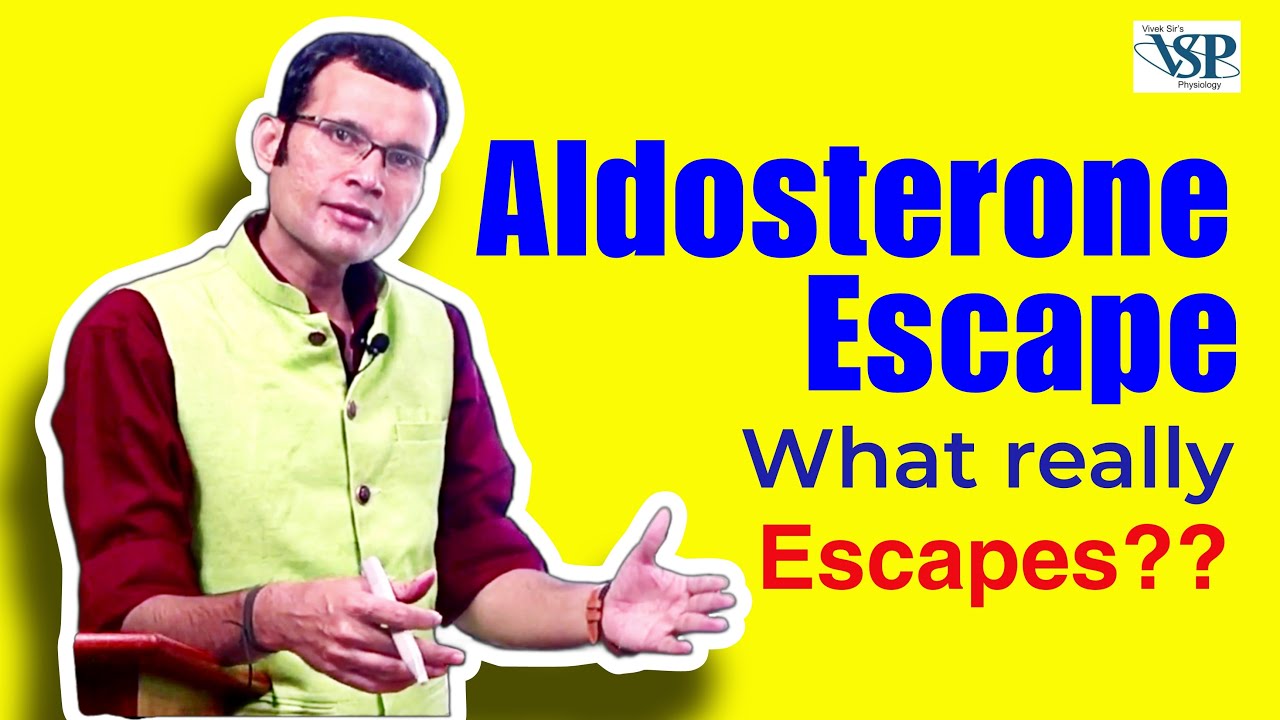 Aldosterone escape ~ What really “escapes”? [1st MBBS/NEET/NExT/FMGE] | MBBS | Dr Vivek Nalgirkar |