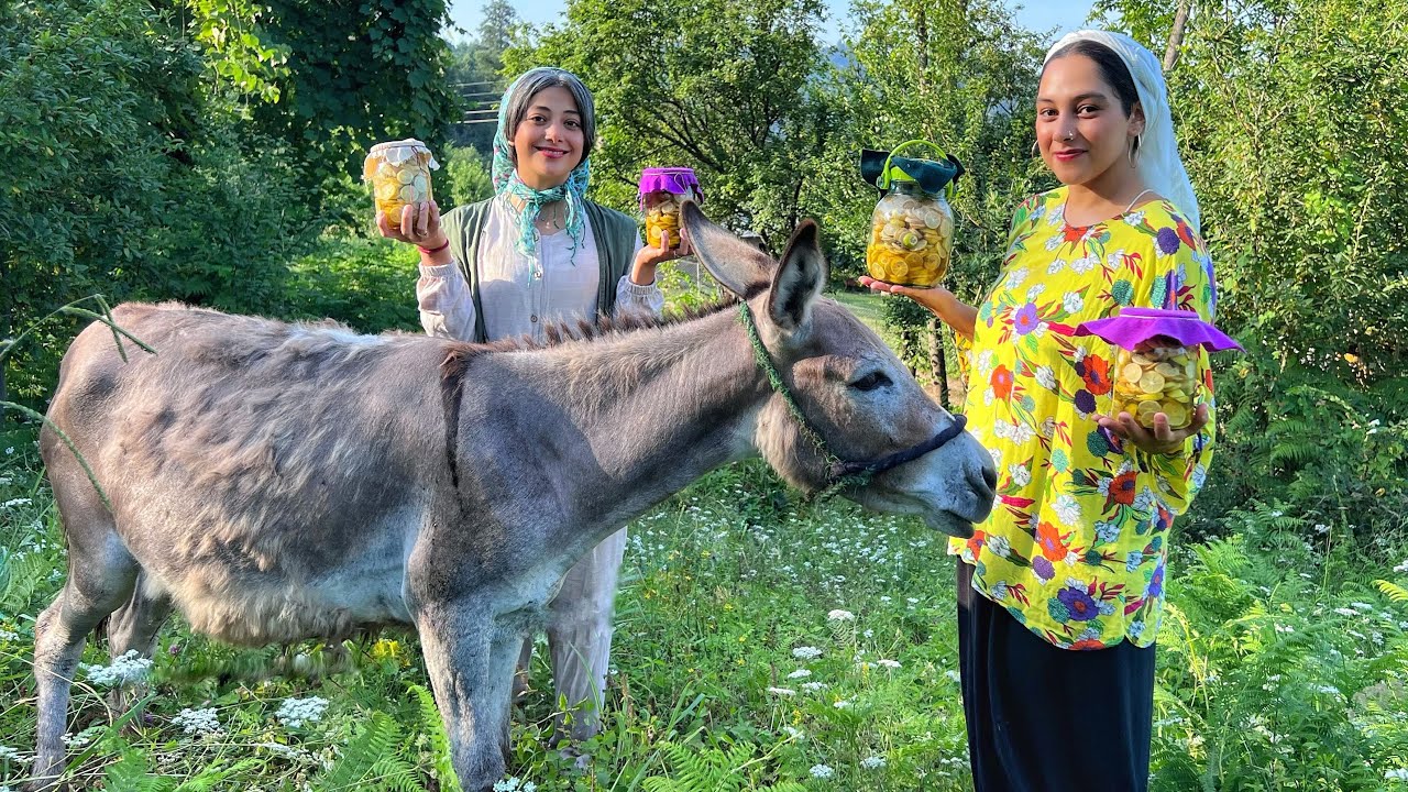 Winter Wellness & Orchard Magic: Lemon Honey Elixir and Homemade Apple Vinegar(سرکه سیب+لیمو عسلی)