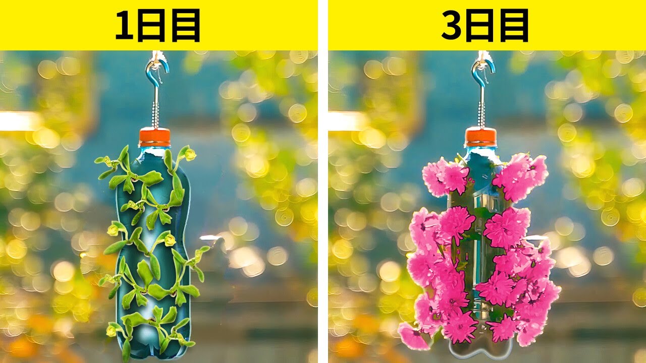 知って得する裏技集！庭で植物と野菜を育てる賢いライフハック