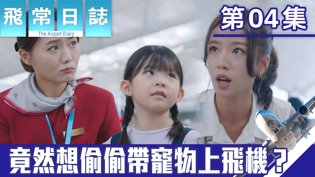 飛常日誌｜竟然想偷偷帶寵物上飛機？｜馬國明｜蔡思貝｜高海寧｜洪永城｜職業劇｜TVB港劇精華｜TVBUSA