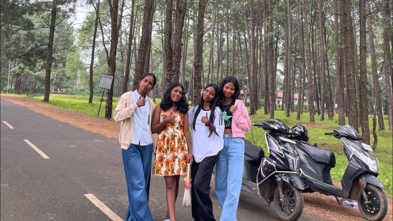  Netarhat hill town ( the Queen of chotanagpur)🍃🪵 // छोटा नागपूर का ￼￼पठार 🪨🌲