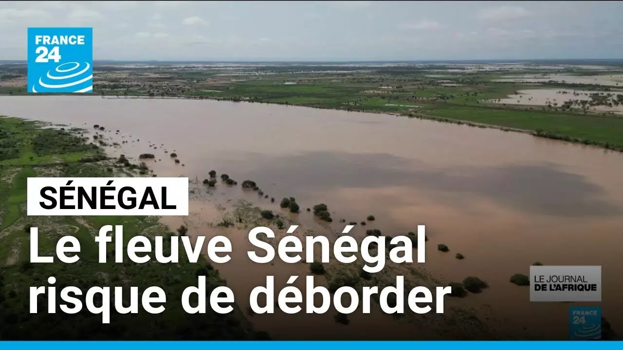 Le fleuve S&eacute;n&eacute;gal risque de d&eacute;border, l'inqui&eacute;tude des habitants de Matam &bull; FRANCE 24