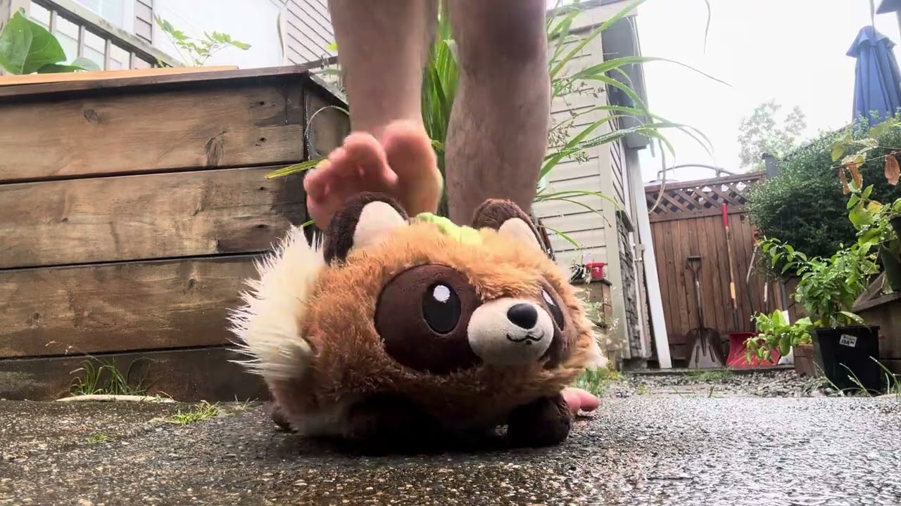 Squishable Tanuki Barefoot Trample in the Rain