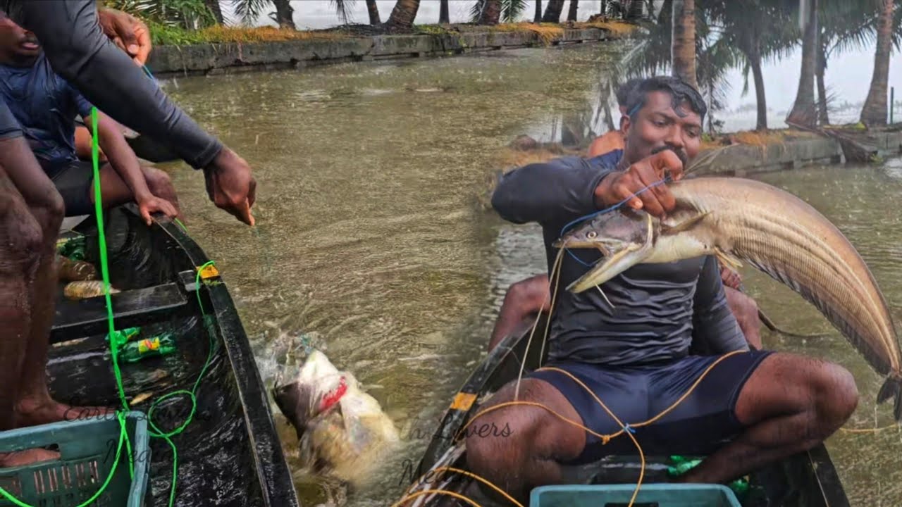 ഇന്ന് ആരെയാണോ കാണിക്കണ്ടത്?|അഞ്ചു കിലോയുടെ ഒരു വാള പോയ പോക്കു കണ്ടോ?