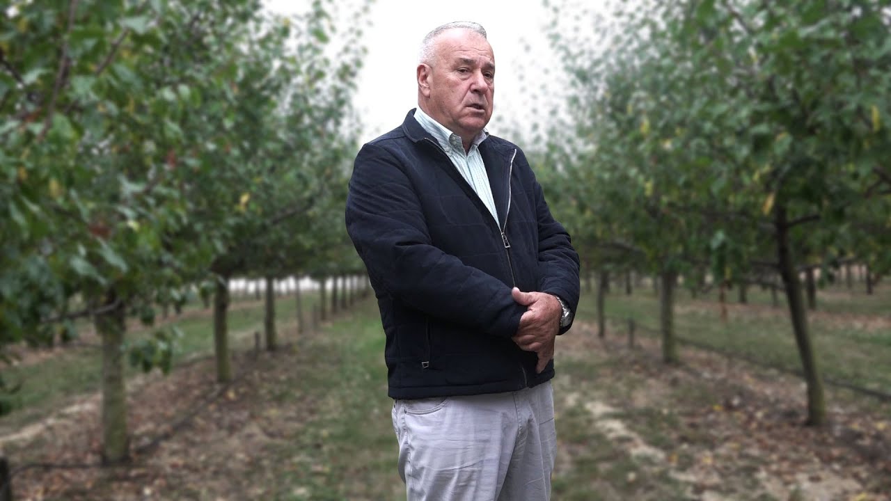 Vlasnik je najveće plantaže šljive u BiH