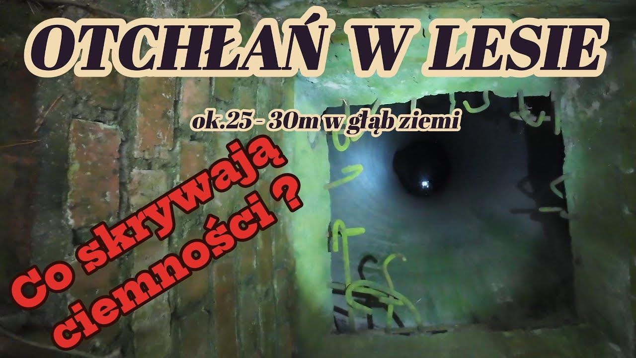 Prawdziwa otchłań w środku lasu - co skrywają ciemności.