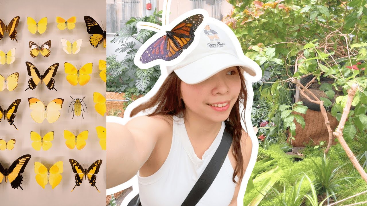 Montréal Insectarium | The Most Peaceful Place I Visited