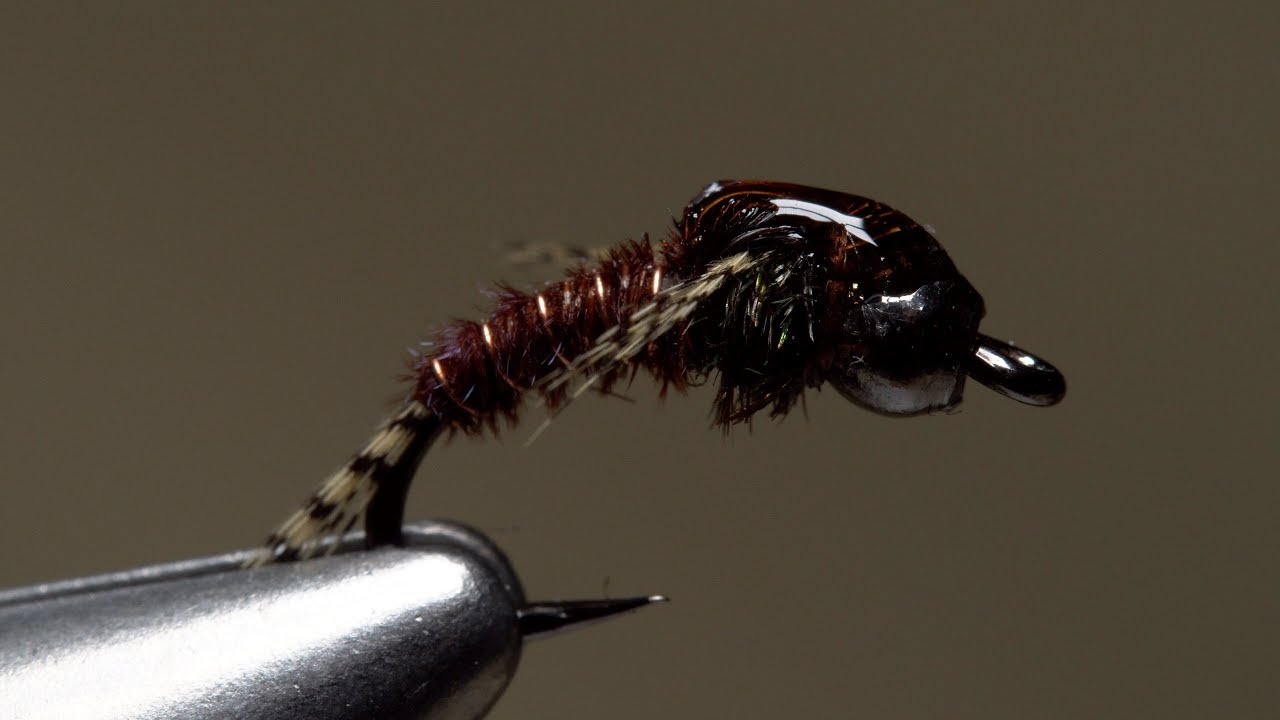 DPD Nymph